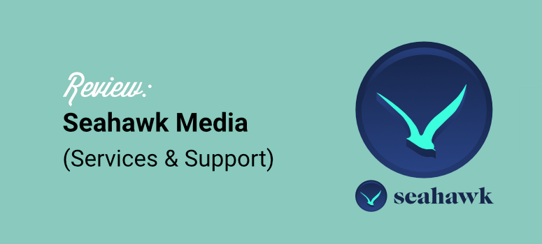 seahawk のメディア サービスとサポートを確認する - IsItWP - 無料の WordPress テーマ ディテクタ review seahawk media services and support