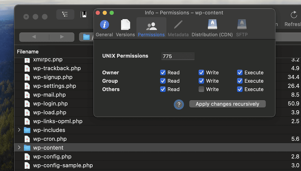 Cyberduck 应用程序中 WordPress 核心文件夹的文件权限。