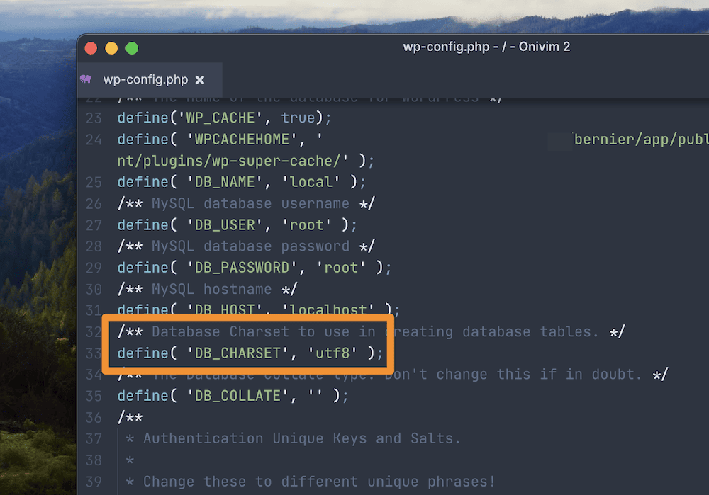 wp-config.php 突出显示了字符编码设置。