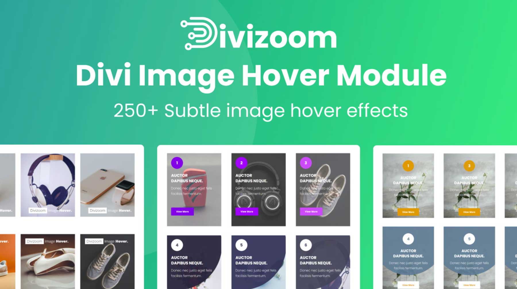 Divi 图像悬停