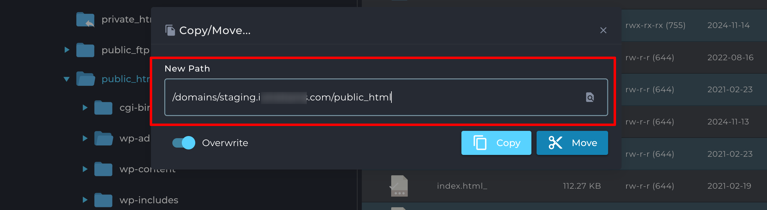 Copia tutti i file e incollali nella directory del sito di staging.