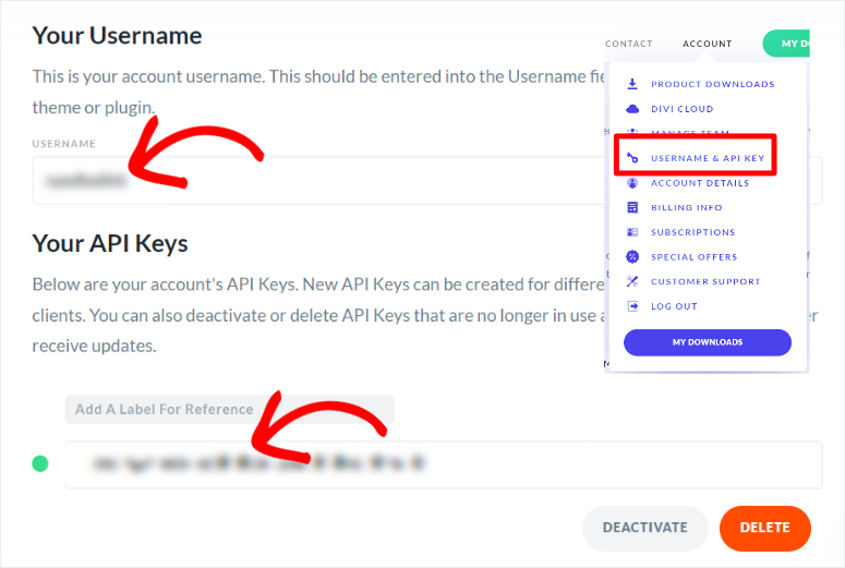 divi-copy-username-api-key - IsItWP - Détecteur de thème WordPress gratuit divi copy username api key