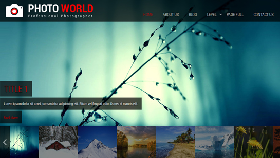 fotoğrafçılık WordPress teması