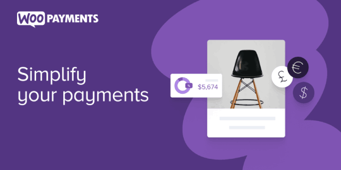 2025년 온라인 비즈니스 확장을 위한 8+ 최고의 WooCommerce 확장 프로그램 3 woopayments