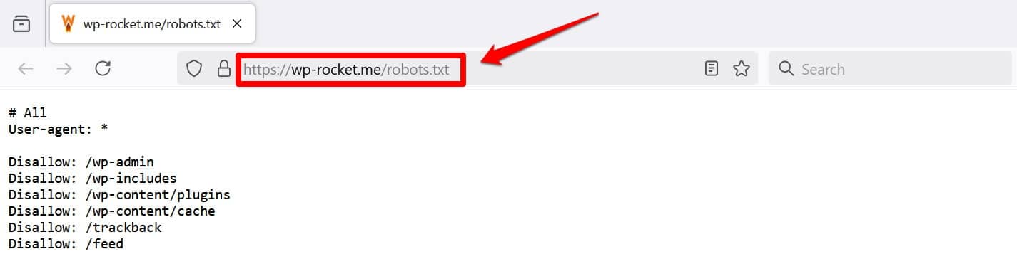 브라우저를 통해 robots.txt 파일 보기