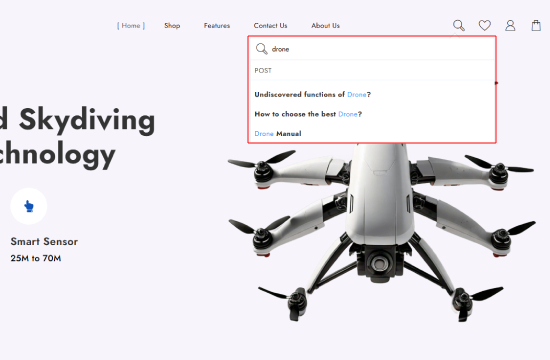 Cómo agregar una barra de búsqueda personalizada a WooCommerce para facilitar el descubrimiento de productos 10 Search posts search