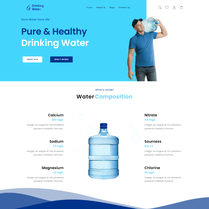 13+ migliori modelli di siti Web per l'agenzia pubblicitaria 4 Drinking water delivery