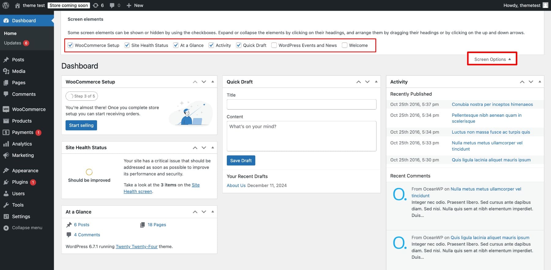 WordPress ekran seçenekleri