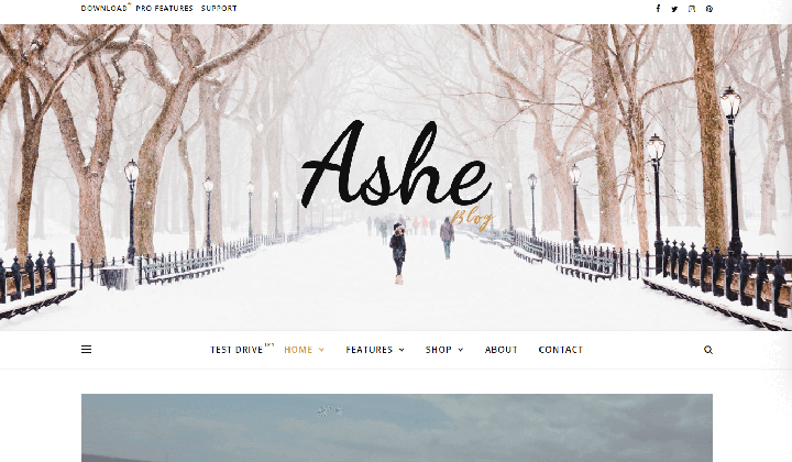 17+ tema blog WordPress gratis terbaik 2025 (super cepat) 21 Ashe