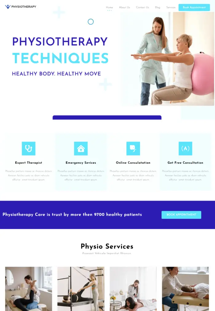 Website-Vorlagen erläutert: Typen, Vorteile und Beispiele im wirklichen Leben 7 physiotherapy template 6432