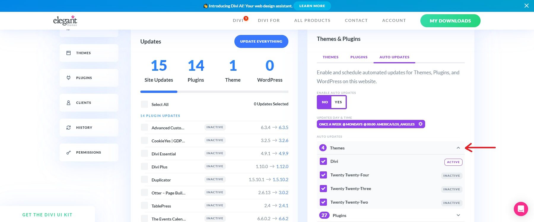 Divi Dash自動更新主題