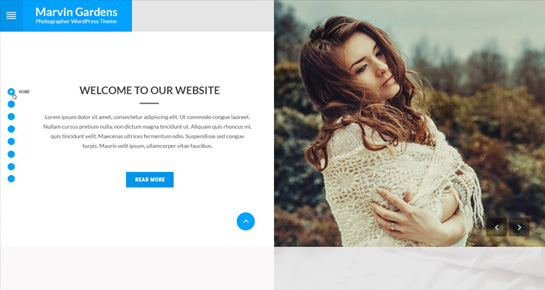 Marketing -WordPress -Themen