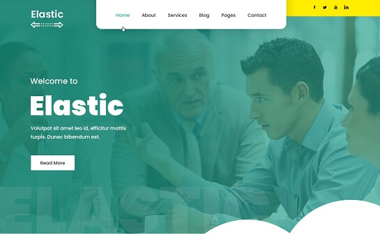 Elastic Pro