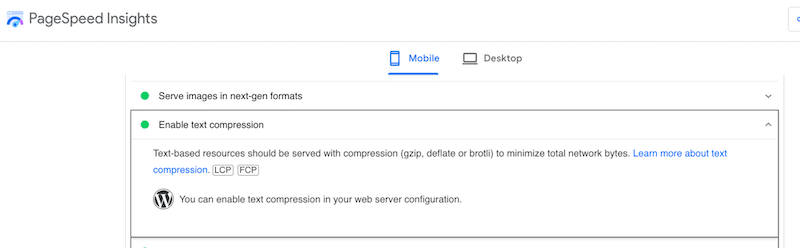 Comprobación de compresión GZIP con PageSpeed Insights (Sección de auditoría aprobada - Fuente: PageSpeed