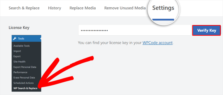 Search-and-Replace-Todo-Antivação-ISITWP-Detector de Tema WordPress grátis search and replace everything pro activation