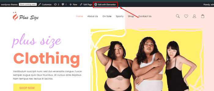 Nowy szablon strony internetowej dla sklepu plus size (instalacja jednego kliknięcia) 27 edit with elementor 2