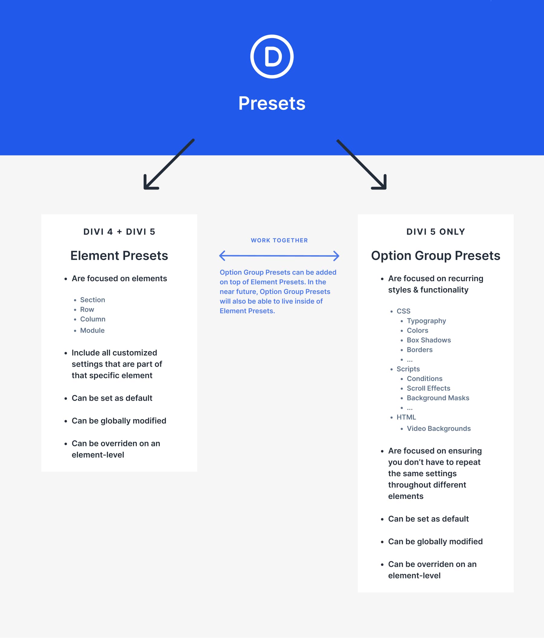 Divi 5 Seçenek Grup Ön Ayarları
