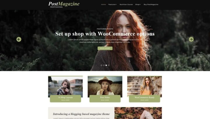 PostMagazine Pro WordPress theme homepage top by Blogging Theme Styles