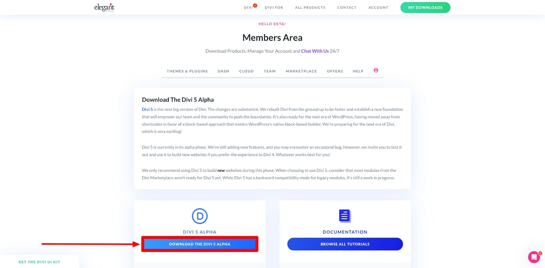Divi 5 zipフォルダーをダウンロードします
