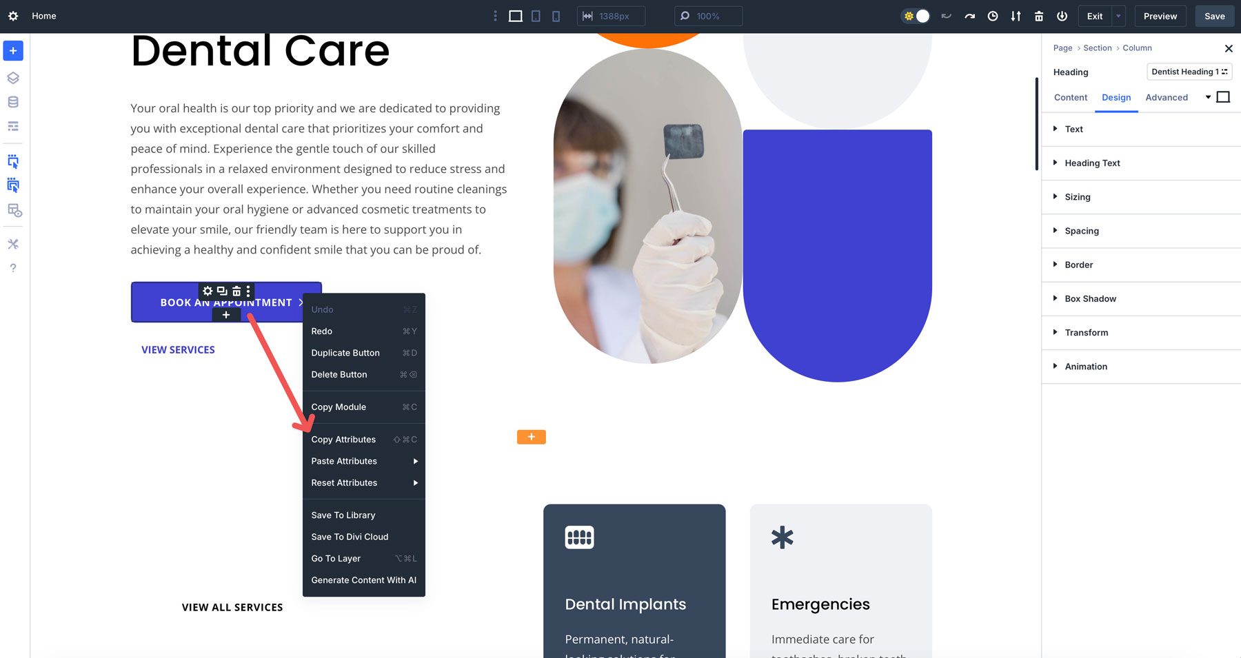 DIVI 5属性管理