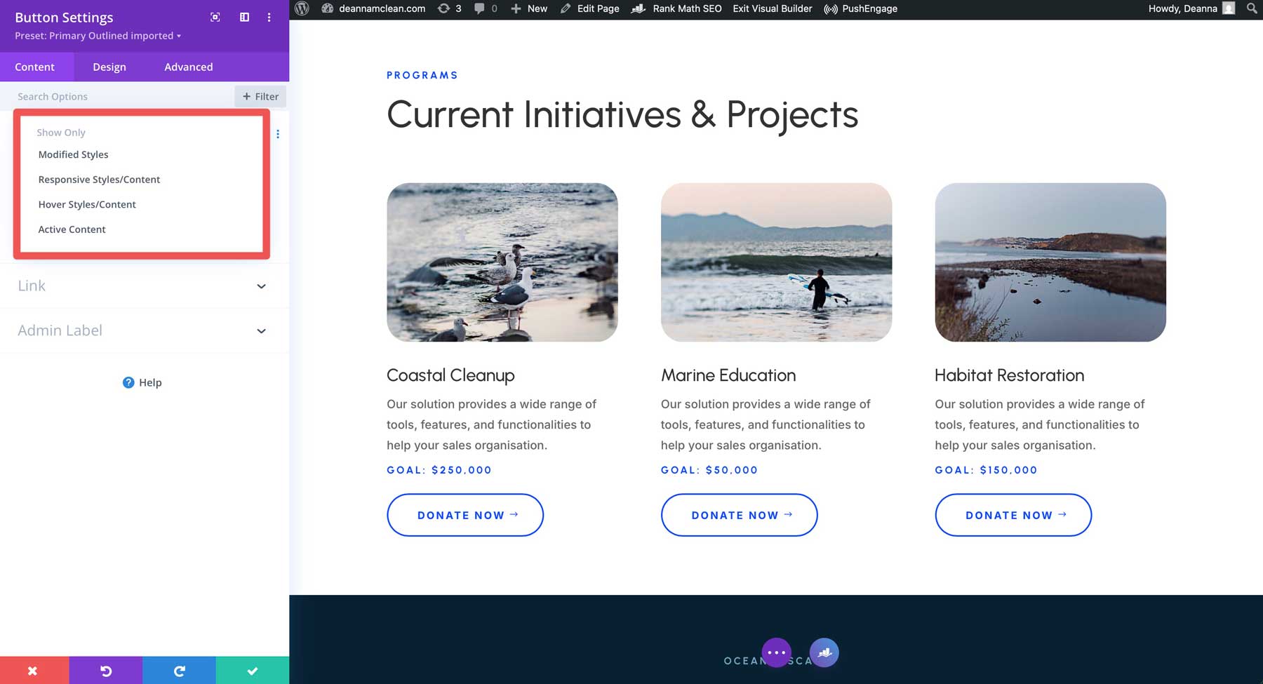 Divi 4 Opțiuni de filtrare