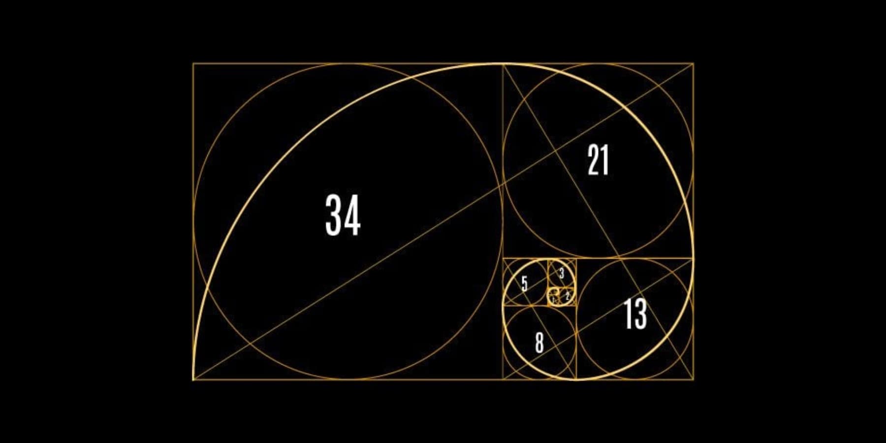 Fibonacci dizisinin görsel bir sunumu