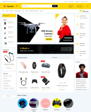 Beste WooCommerce -Themen mit Demo -Inhalt 36 top store 70313