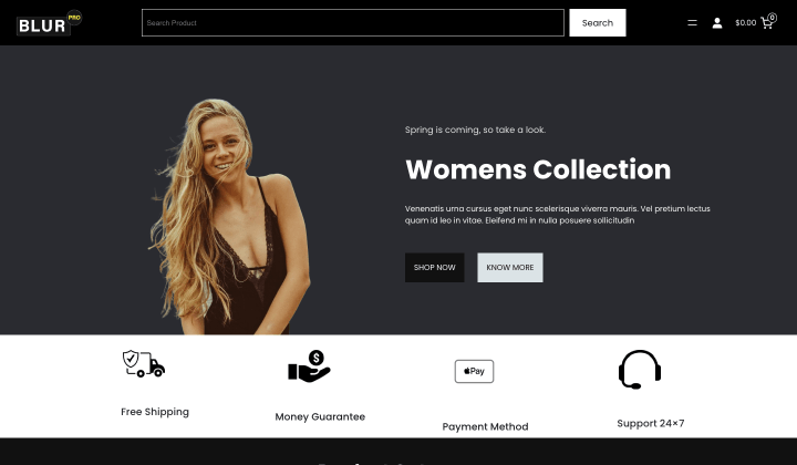 Store de ropa de 11+ Temas de WooCommerce para WordPress 17 blur pro feayured 42
