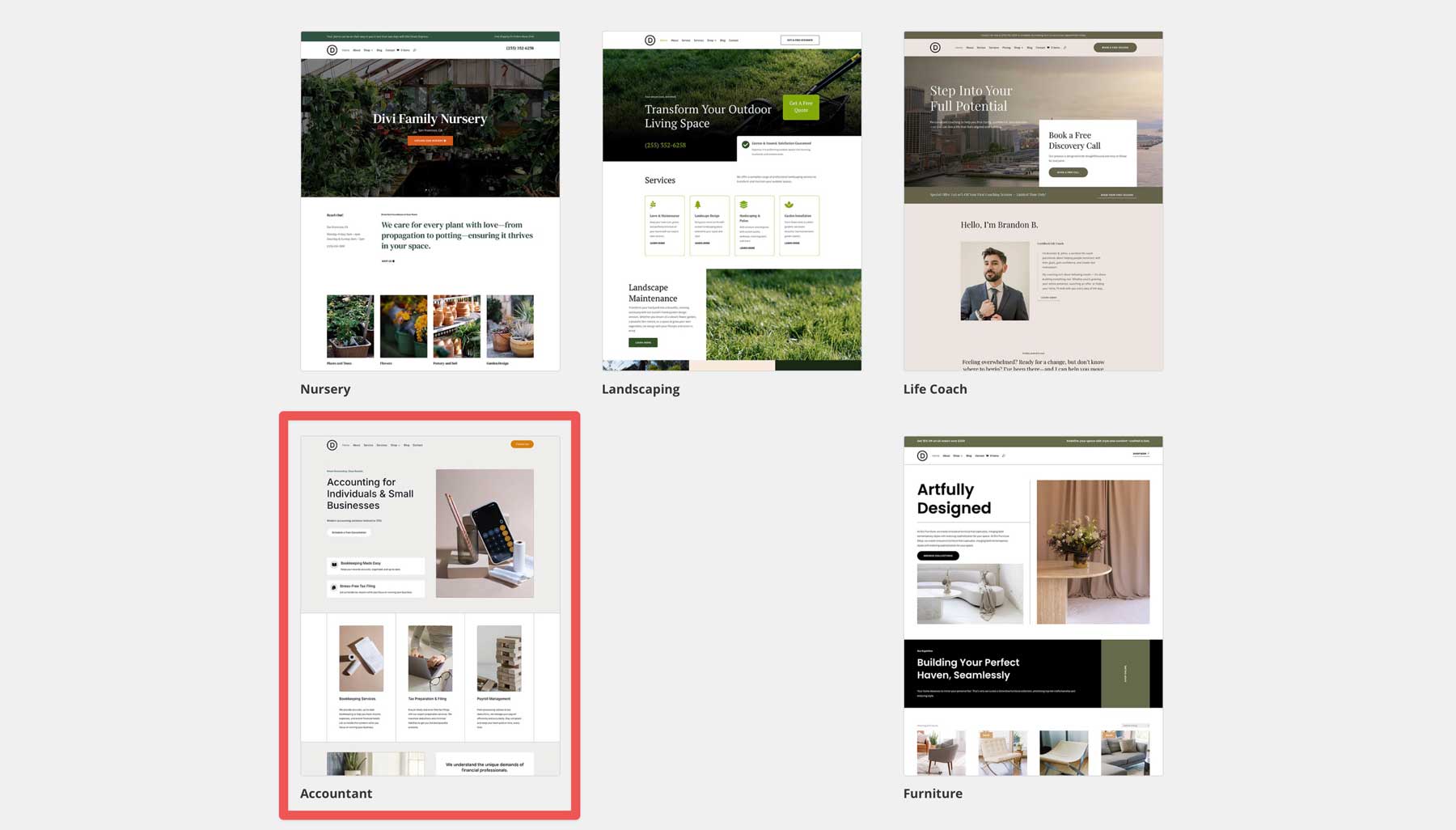 Accountant Starter Site für Divi