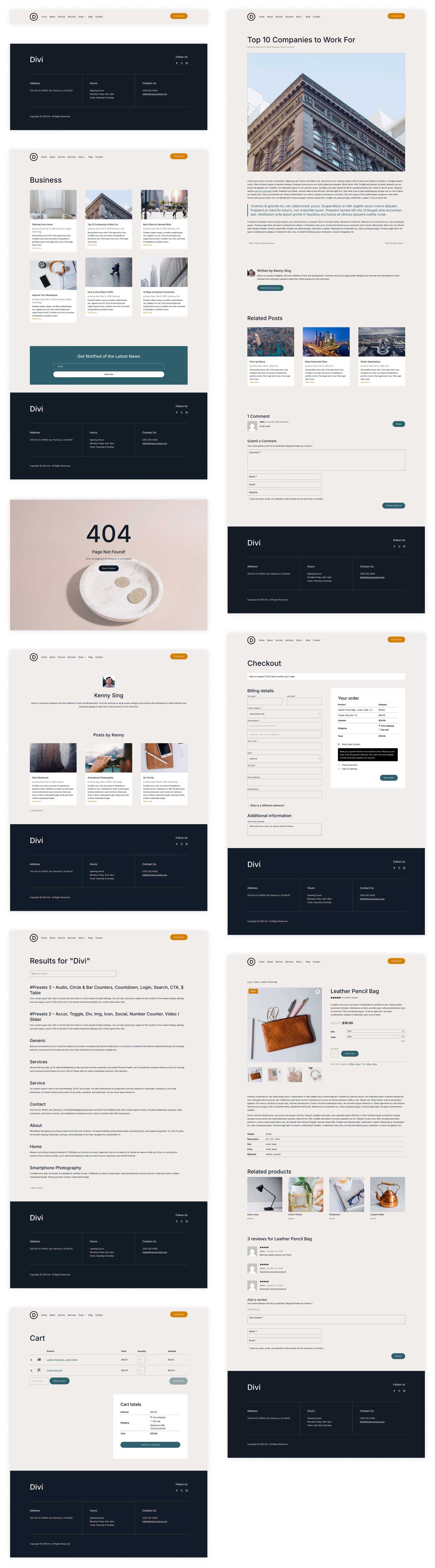 Accountant Starter Site für Divi
