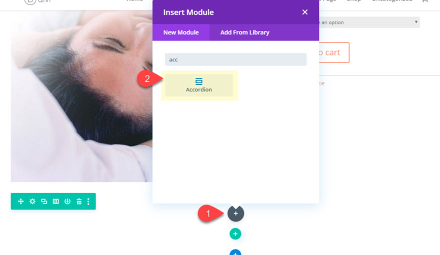 divi informações do produto acordeão