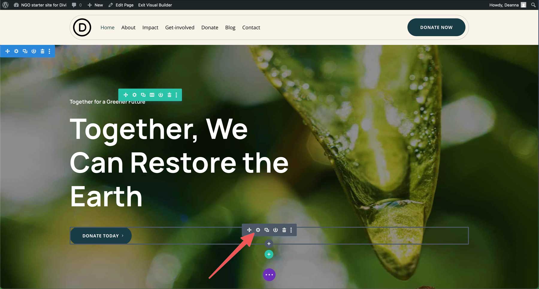 Situs starter LSM untuk Divi