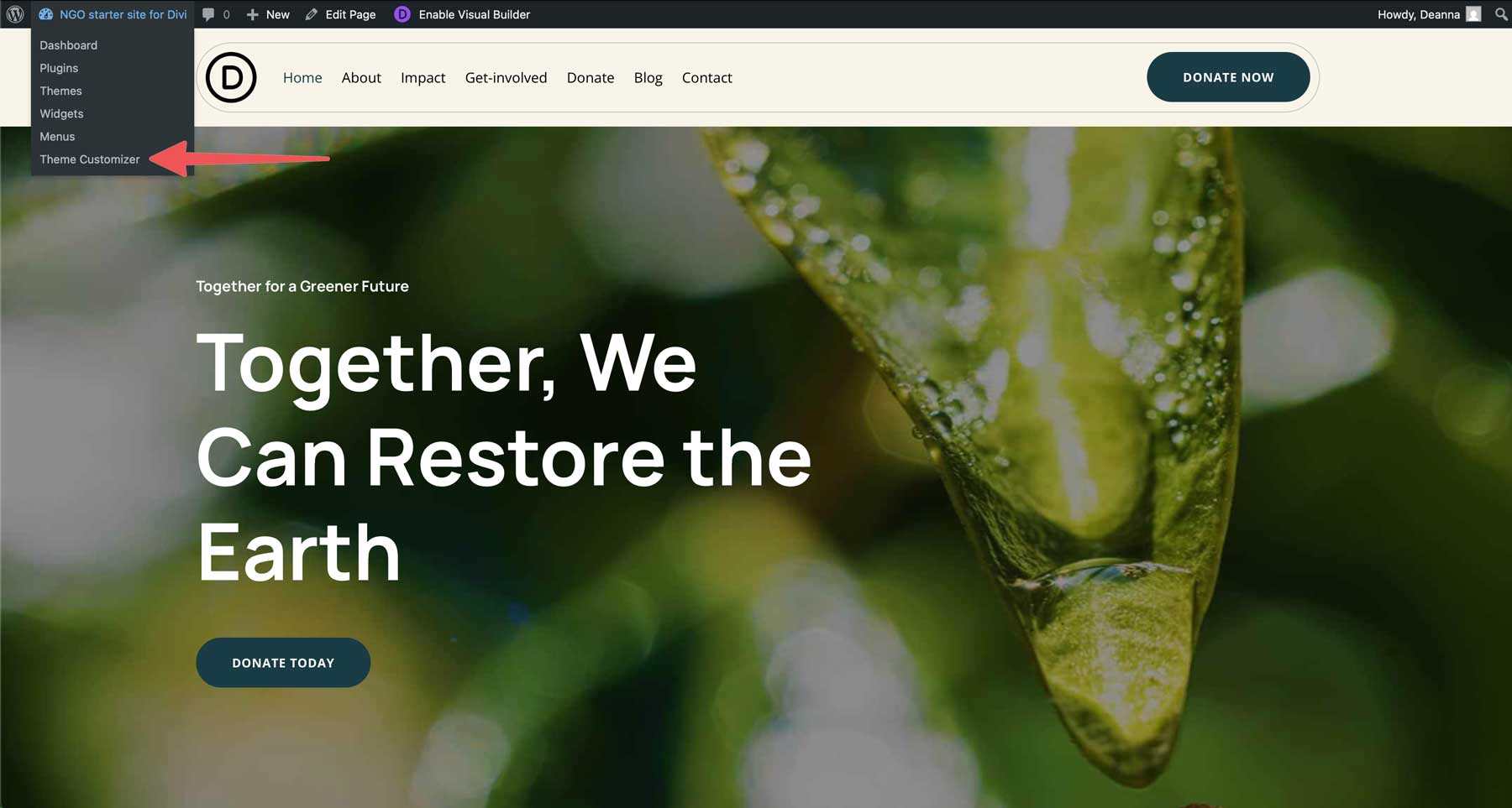 Situs starter LSM untuk Divi