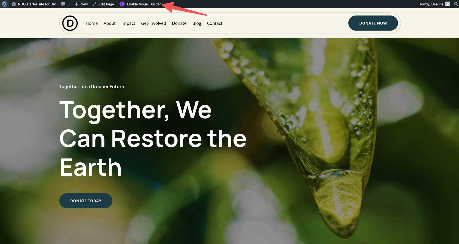 Situs starter LSM untuk Divi