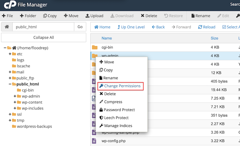 افتح مدير الملفات عبر cpanel - المصدر: mycpanel