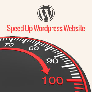 Acelera su sitio de WordPress, WordPress CDN