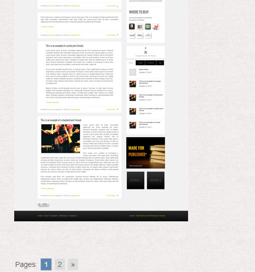 WordPress Paginationプラグインオプション