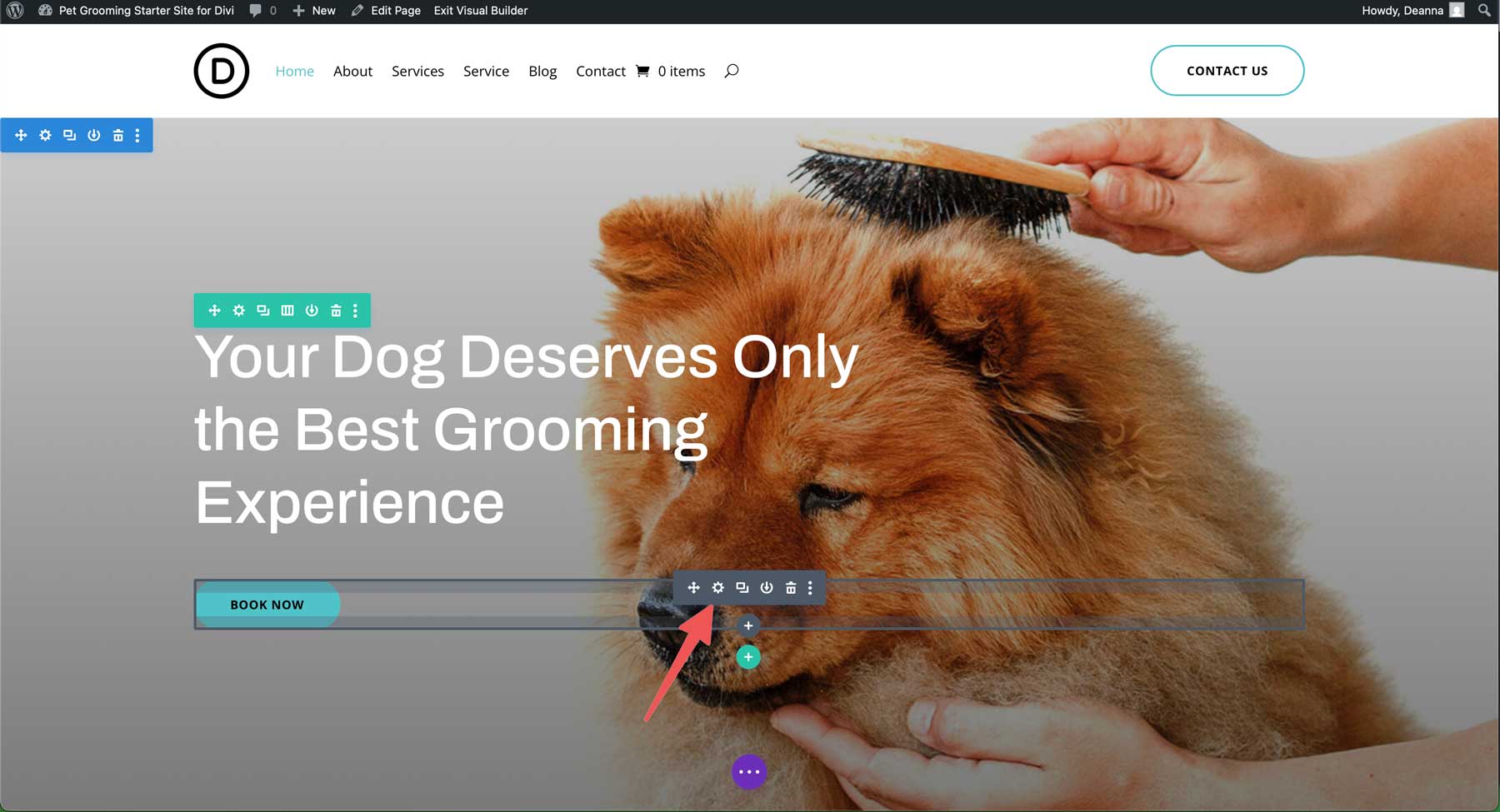 Sito di avviamento di toelettatura per animali domestici per Divi
