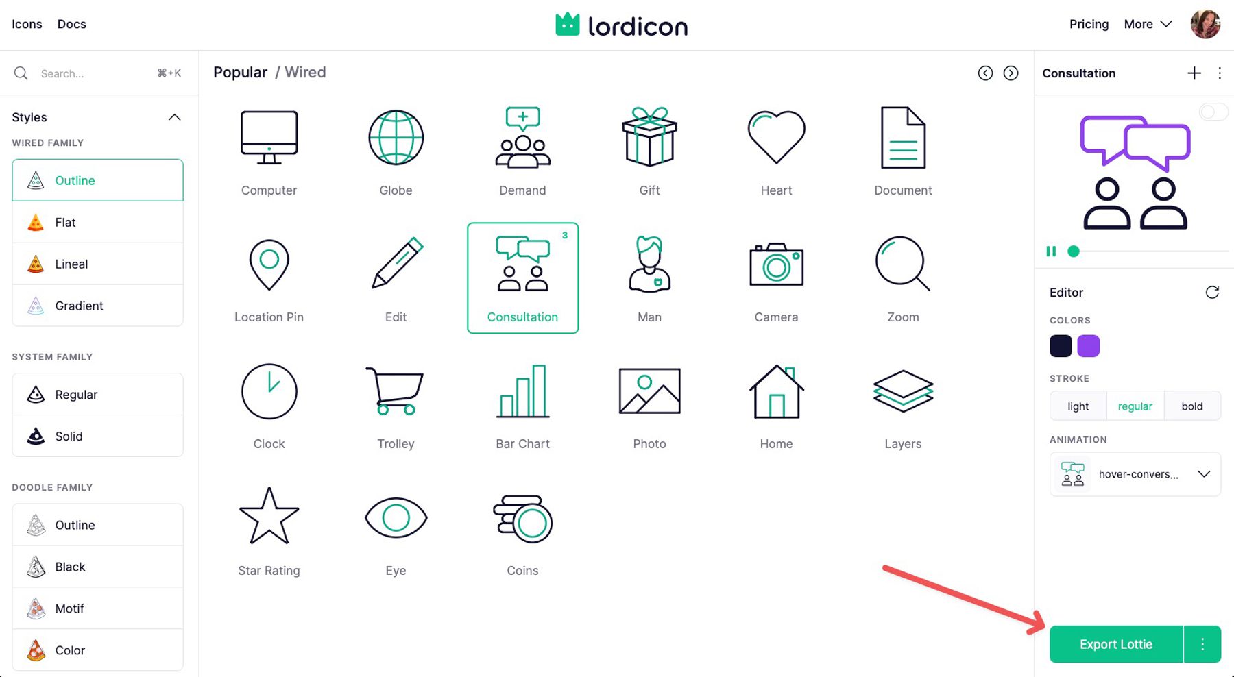 Ikony Lordicon