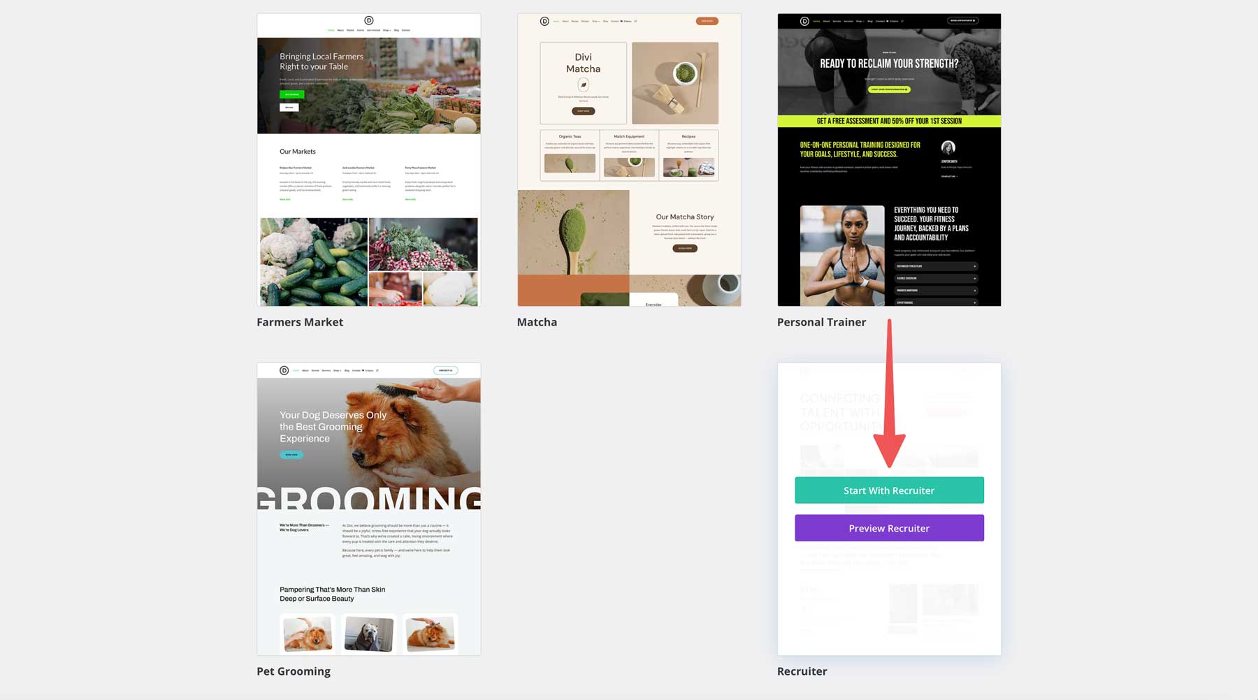 Recruiter Starter Site pentru Divi