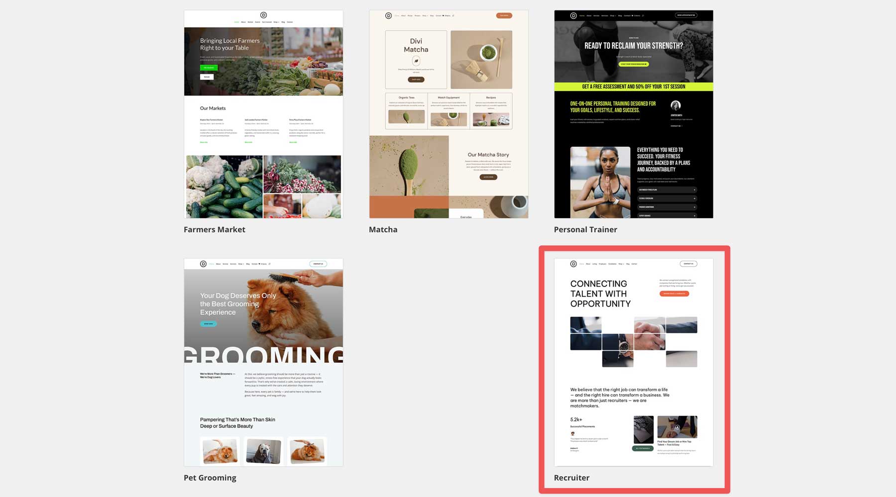 Recruiter Starter Site pentru Divi
