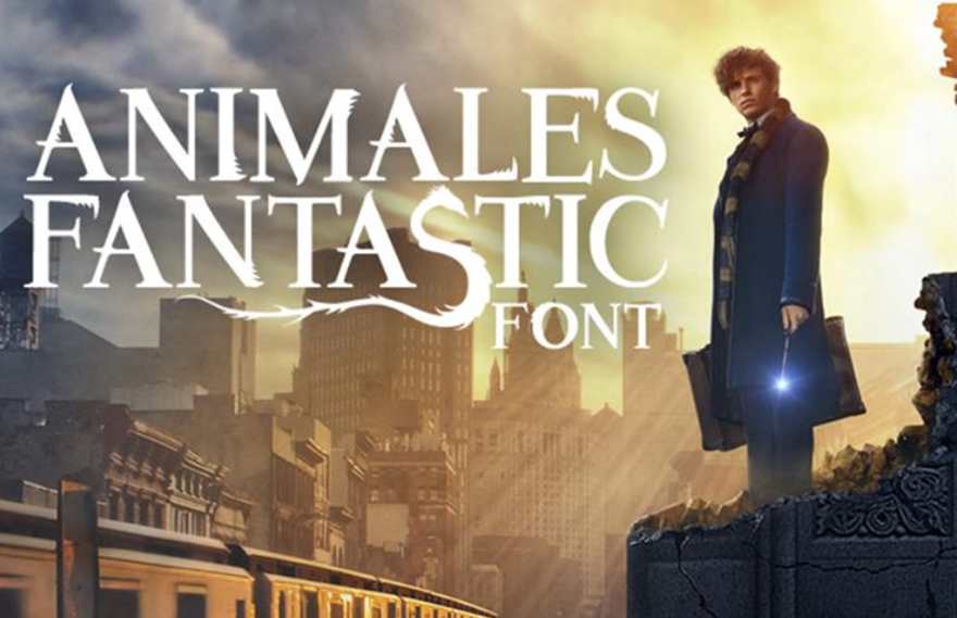 خط هاري بوتر