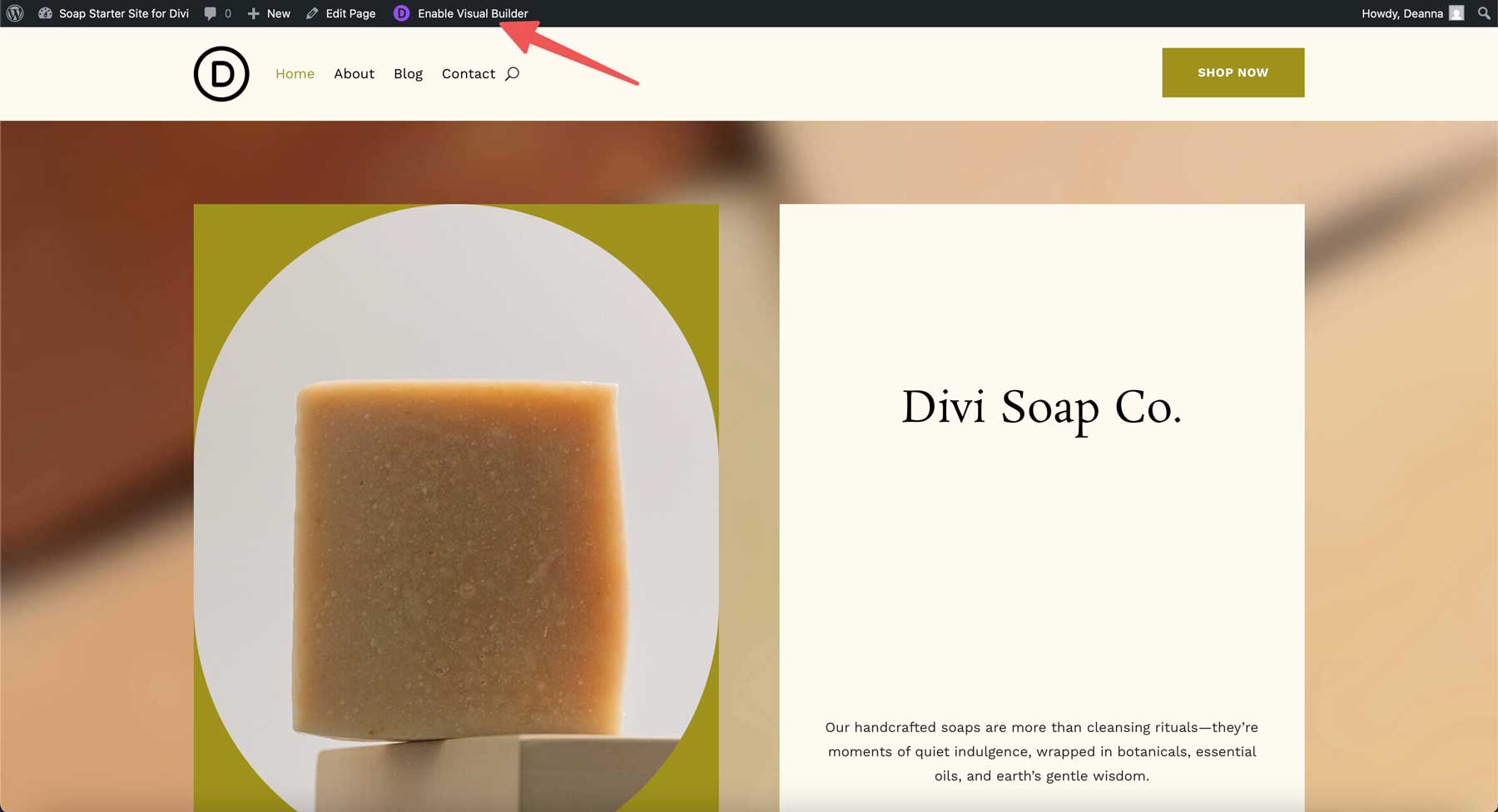 Site -ul de pornire pentru săpun pentru Divi
