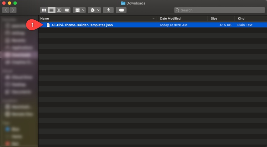 Options de portabilité du générateur de thème Divi