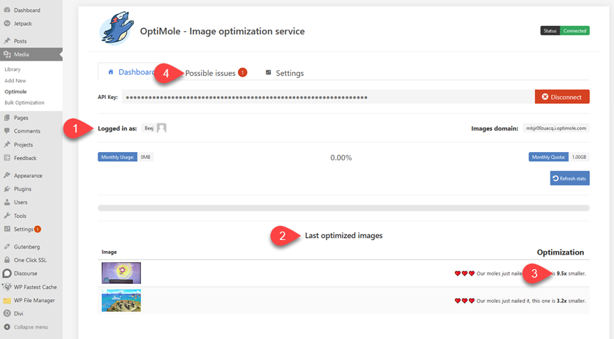 Использование изображений WebP с WordPress