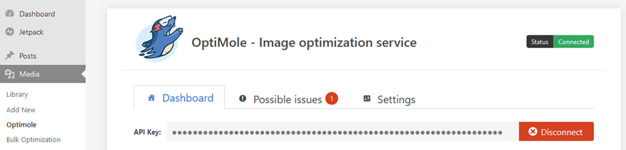 Использование изображений WebP с WordPress