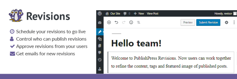 O plugin de revisões.