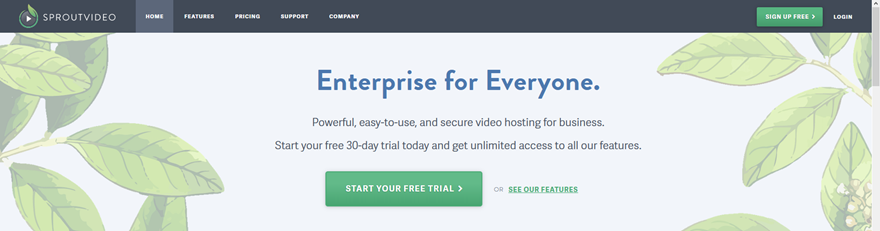 Options d'hébergement vidéo pour les blogueurs et les créateurs de contenu