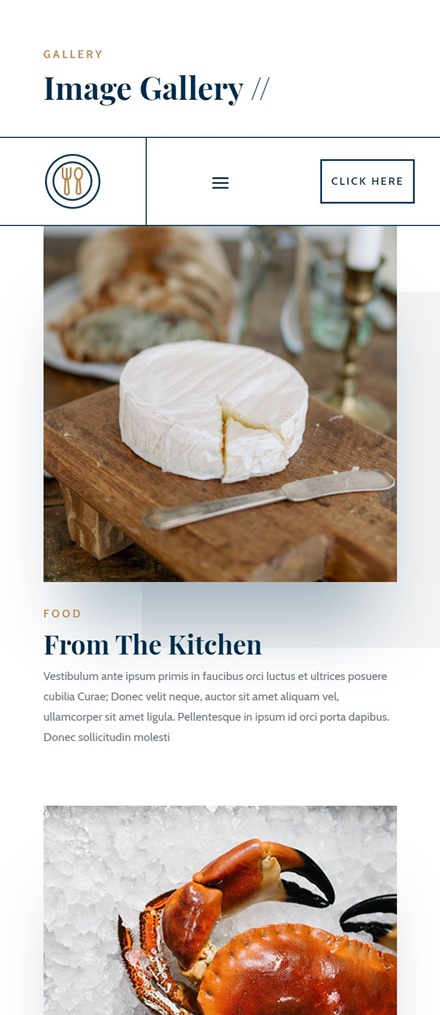 первый раздел Divi