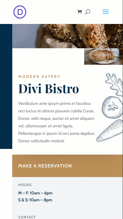 portail d'accueil divi